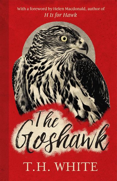 Produktbild: The Goshawk