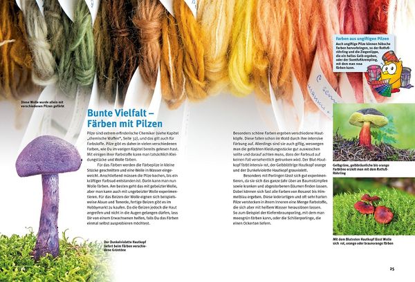 Produktbild: Entdecke die Pilze