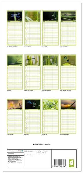 Produktbild: Familienplaner 2026 - Naturwunder Libellen mit 5 Spalten (Wandkalender, 21 x 45 cm) CALVENDO