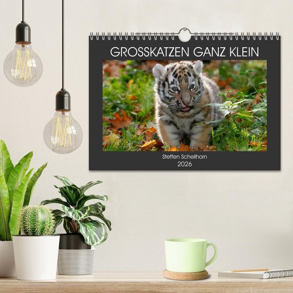 Produktbild: GROSSKATZEN GANZ KLEIN (Wandkalender 2026 DIN A4 quer), CALVENDO Monatskalender