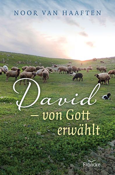 Produktbild: David - von Gott erw&auml;hlt