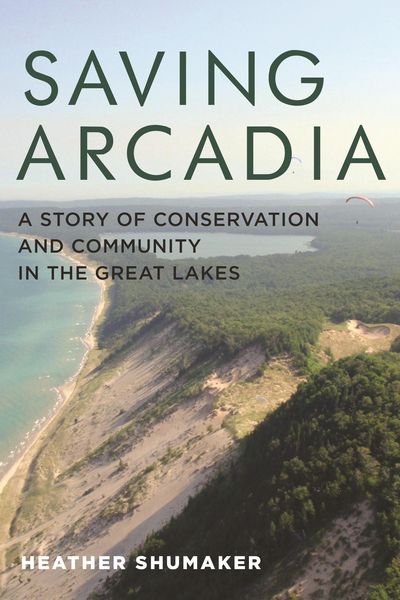 Produktbild: Saving Arcadia