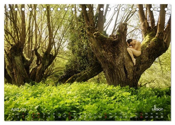 Produktbild: ZAUBERWALD Mystik der Natur (Tischkalender 2026 DIN A5 quer), CALVENDO Monatskalender