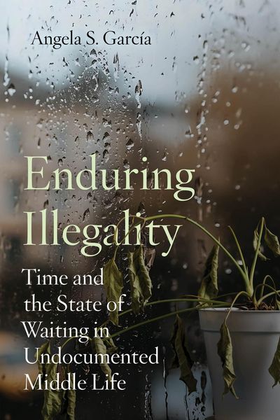 Produktbild: Enduring Illegality