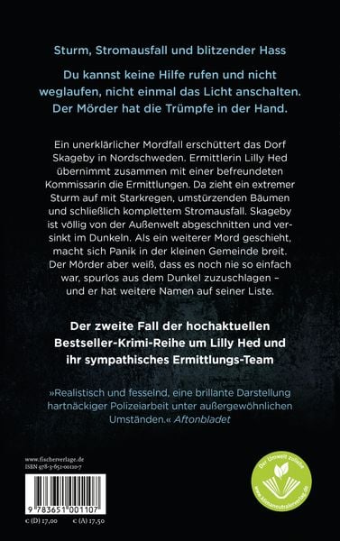 Produktbild: Im Sturm