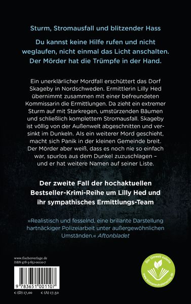 Produktbild: Im Sturm