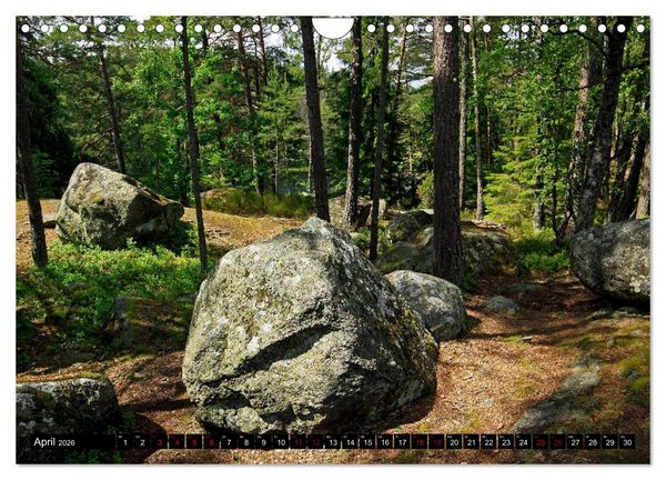 Produktbild: Tiveden, der NatURWALD in Schweden (Wandkalender 2026 DIN A4 quer), CALVENDO Monatskalender