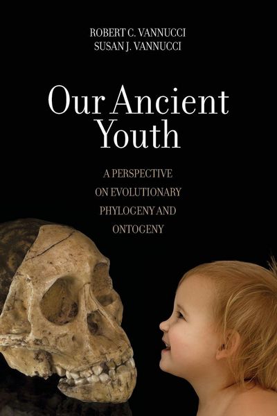 Produktbild: Our Ancient Youth