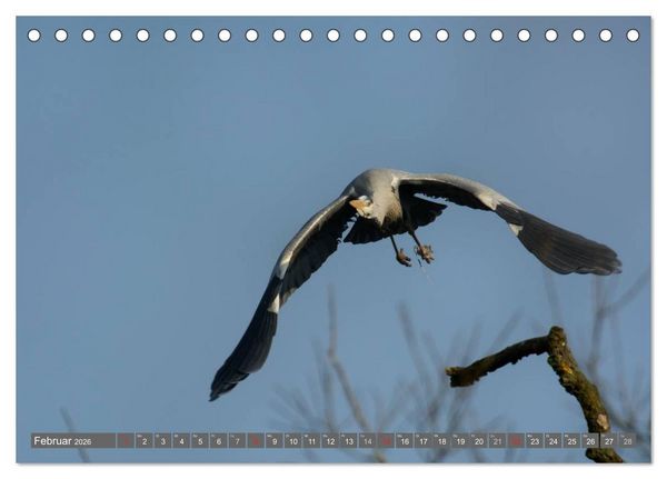 Produktbild: INNE BOTANIK - V&ouml;gel im Ruhrpott (Tischkalender 2026 DIN A5 quer), CALVENDO Monatskalender
