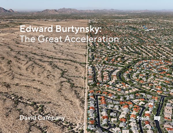 Produktbild: The Great Acceleration