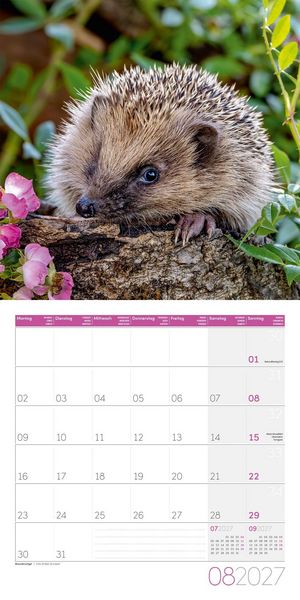 Produktbild: Gartenfreunde Kalender 2027 - 30x30 - Art12