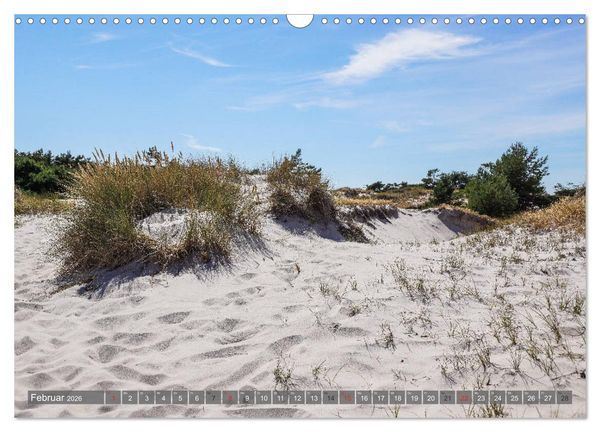 Produktbild: Fischland Dar&szlig; Zingst - wie gemalt (Wandkalender 2026 DIN A3 quer), CALVENDO Monatskalender