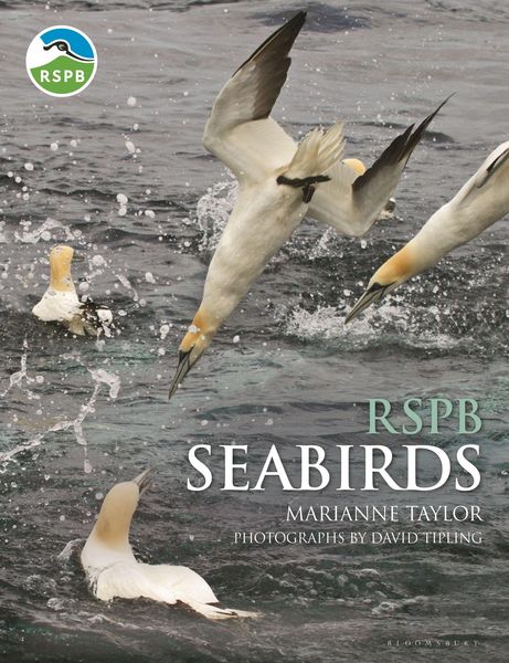 Produktbild: RSPB Seabirds