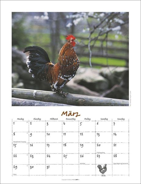 Produktbild: Der H&uuml;hnerkalender 2027