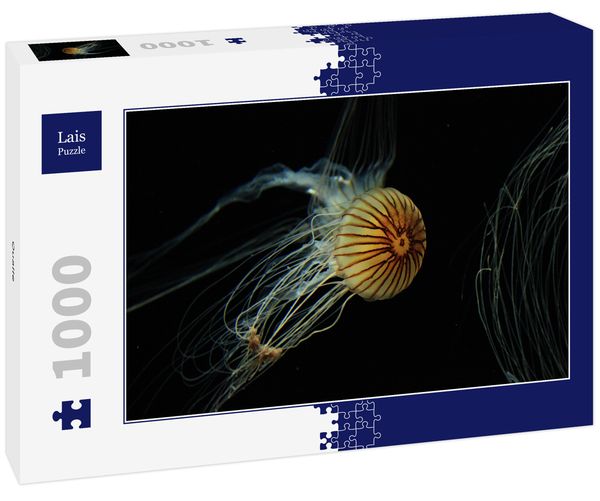 Produktbild: Lais Puzzle Qualle 1000 Teile