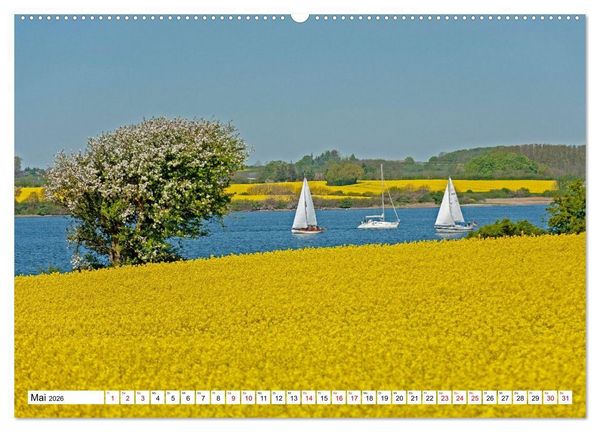 Produktbild: Angeln - Landschaft zwischen Schlei und Flensburger F&ouml;rde (hochwertiger Premium Wandkalender 2026 DIN A2 quer), Kunstdruck in Hochglanz