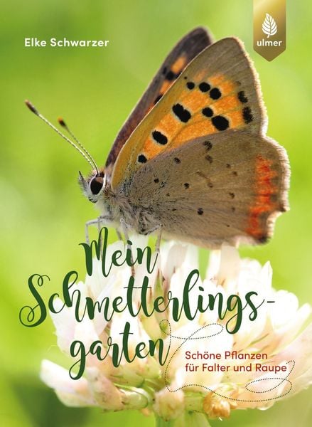 Produktbild: Mein Schmetterlingsgarten