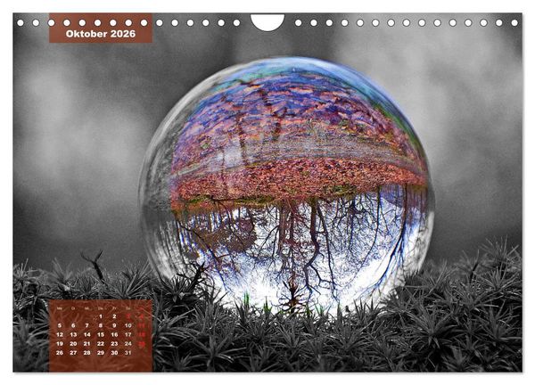 Produktbild: Die bunte Welt in der Kugel - neue Blickwinkel (Wandkalender 2026 DIN A4 quer), CALVENDO Monatskalender