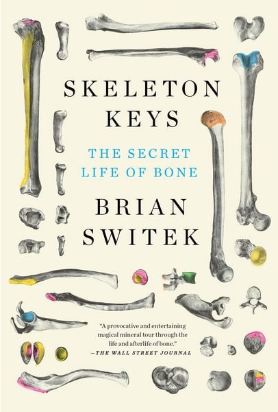 Produktbild: Skeleton Keys