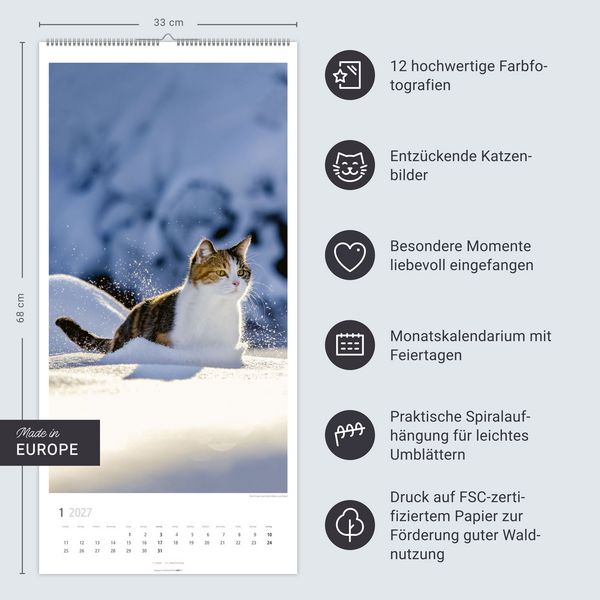 Produktbild: Katzen Kalender 2027
