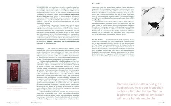 Produktbild: Der Jaga und der Koch
