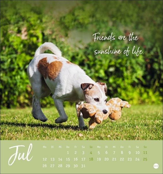 Produktbild: Ziemlich beste Freunde Postkartenkalender 2027 - F&uuml;r immer dein