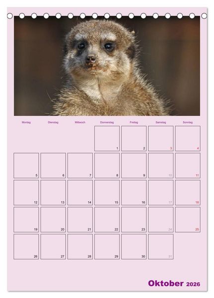 Produktbild: Erdm&auml;nnchen / Terminplaner (Tischkalender 2026 DIN A5 hoch), CALVENDO Monatskalender