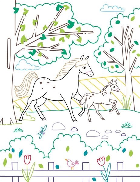 Produktbild: Zauberbilder &ndash; Pferde & Ponys