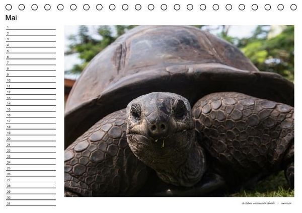 Produktbild: die seychellen - ganz nah am paradies (Tischkalender immerw&auml;hrend DIN A5 quer)