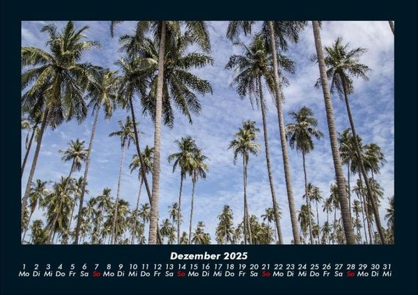 Produktbild: Palmentraum 2025 Fotokalender DIN A4
