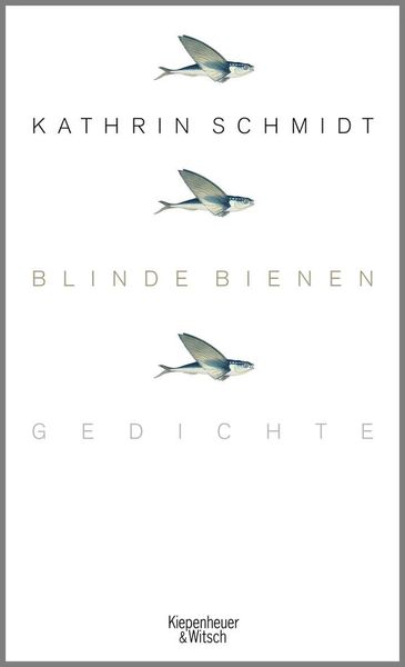 Produktbild: Blinde Bienen