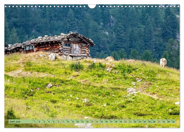 Produktbild: Auf Weidefl&auml;chen und Hochweiden (Wandkalender 2026 DIN A3 quer), CALVENDO Monatskalender
