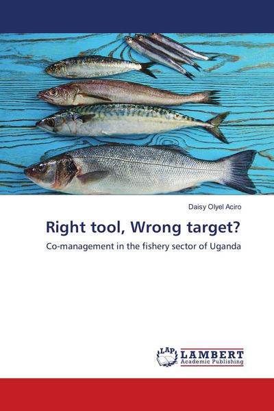 Produktbild: Right tool, Wrong target?
