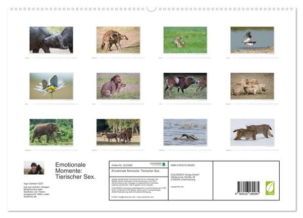 Produktbild: Emotionale Momente: Tierischer Sex. (hochwertiger Premium Wandkalender 2026 DIN A2 quer), Kunstdruck in Hochglanz