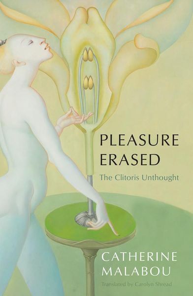 Produktbild: Pleasure Erased