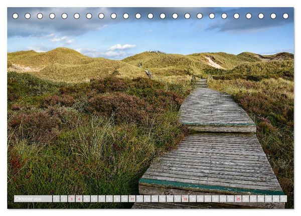 Produktbild: Amrum, die Perle in der Nordsee (Tischkalender 2026 DIN A5 quer), CALVENDO Monatskalender