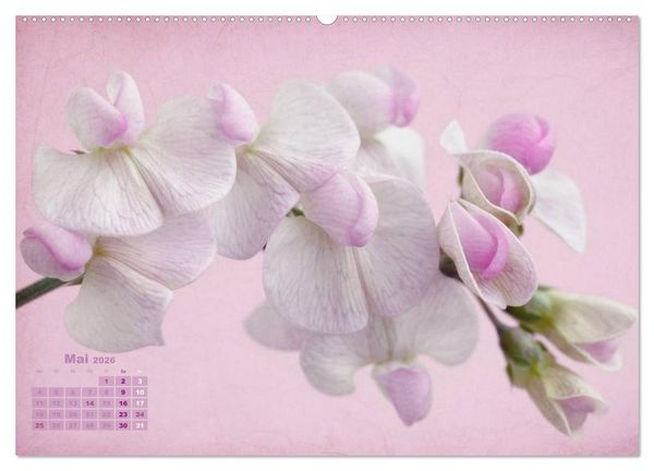 Produktbild: Zauberhafte Bl&uuml;ten (Wandkalender 2026 DIN A2 quer), CALVENDO Monatskalender