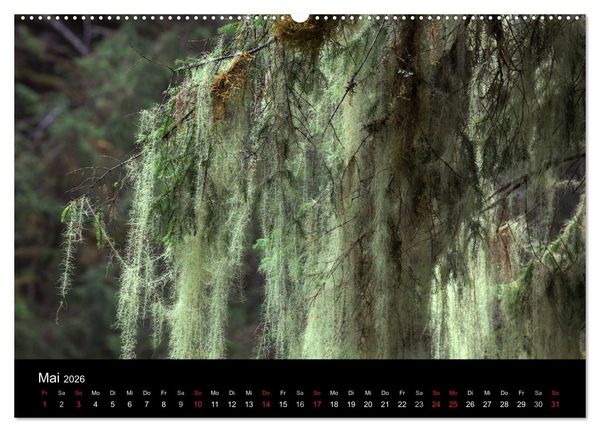 Produktbild: FASZINATION ALASKA Expedition durch die Inside Passage (Wandkalender 2026 DIN A2 quer), CALVENDO Monatskalender
