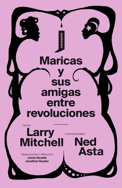 Produktbild: Maricas y sus amigas entre revoluciones