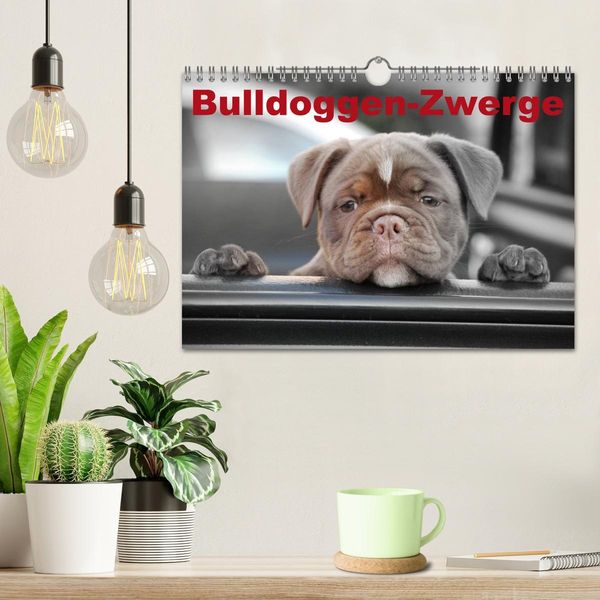 Produktbild: Bulldoggen-Zwerge (Wandkalender 2026 DIN A4 quer), CALVENDO Monatskalender