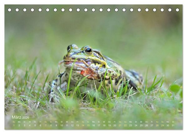 Produktbild: Fr&ouml;sche zum Verlieben (Tischkalender 2026 DIN A5 quer), CALVENDO Monatskalender