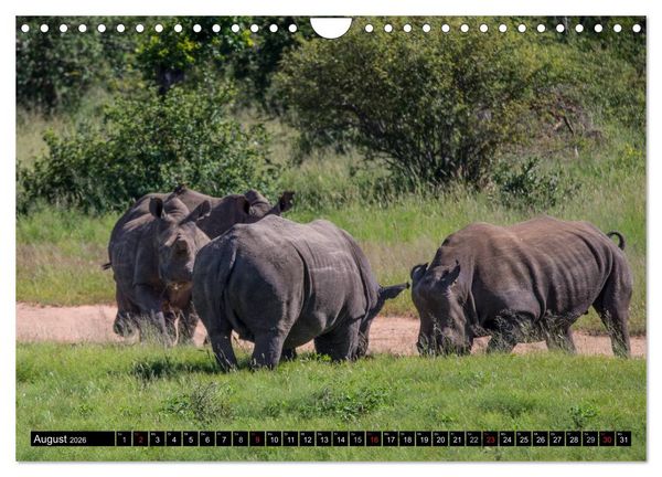 Produktbild: Afrikas wilde Tiere (Wandkalender 2026 DIN A4 quer), CALVENDO Monatskalender