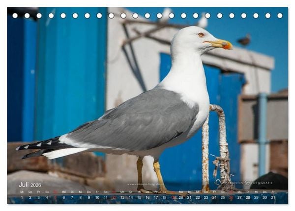 Produktbild: Marokko Maritim (Tischkalender 2026 DIN A5 quer), CALVENDO Monatskalender