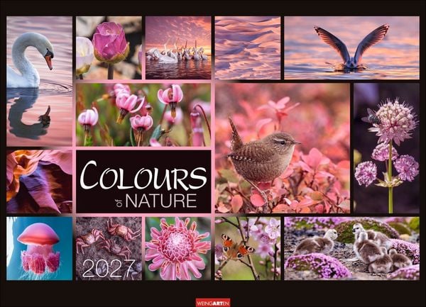Produktbild: Colours of Nature Kalender 2027