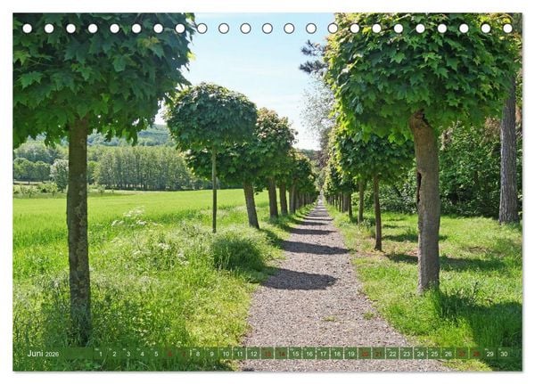 Produktbild: Bad Nenndorf, Kurpark-Impressionen (Tischkalender 2026 DIN A5 quer), CALVENDO Monatskalender
