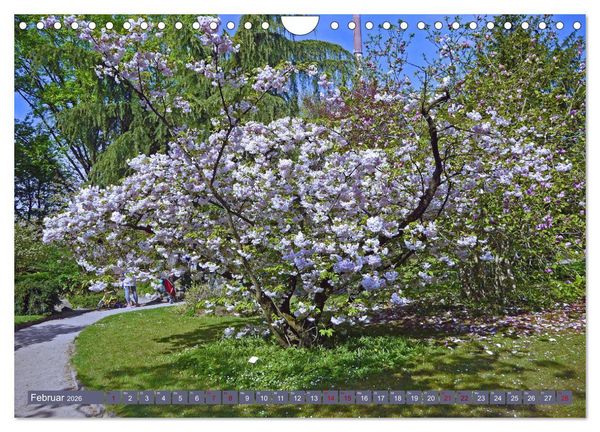 Produktbild: Japanischer Garten Leverkusen (Wandkalender 2026 DIN A4 quer), CALVENDO Monatskalender