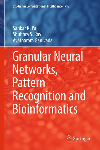 Produktbild: Granular Neural Networks, Pattern Recognition and Bioinformatics