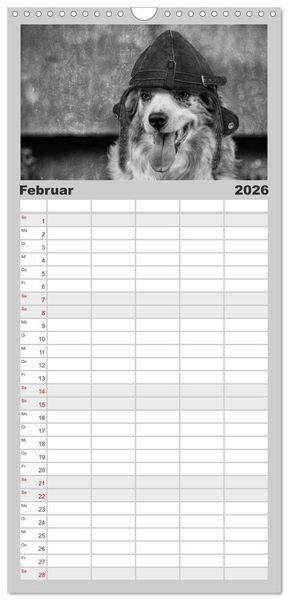 Produktbild: Familienplaner 2026 - H&uuml;tehunde mit 5 Spalten (Wandkalender, 21 x 45 cm) CALVENDO