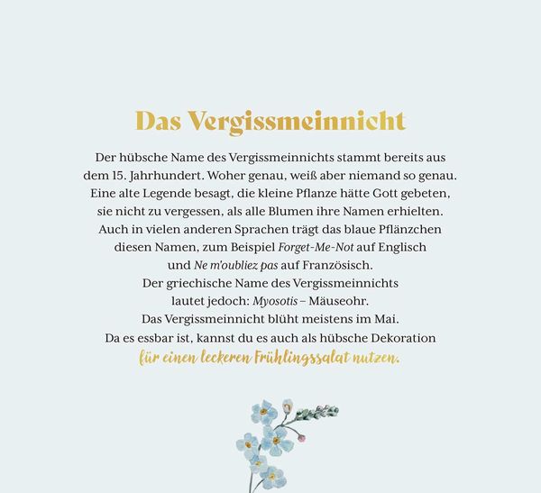 Produktbild: Kleine Wunder in meinem Garten