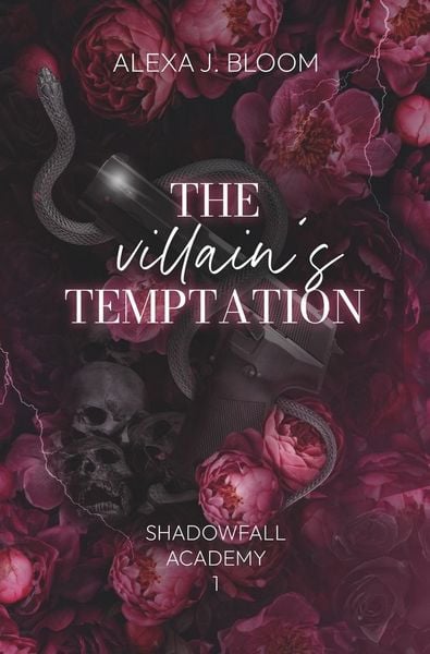 Produktbild: The Villain's Temptation